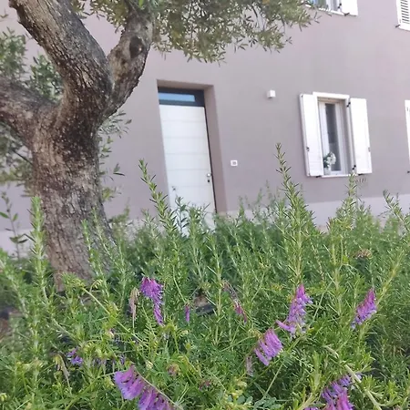 Sama - Foresterie Lombarde- Πανσιόν *