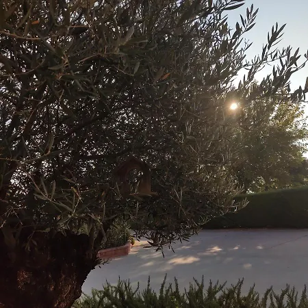 Πανσιόν Sama - Foresterie Lombarde- *